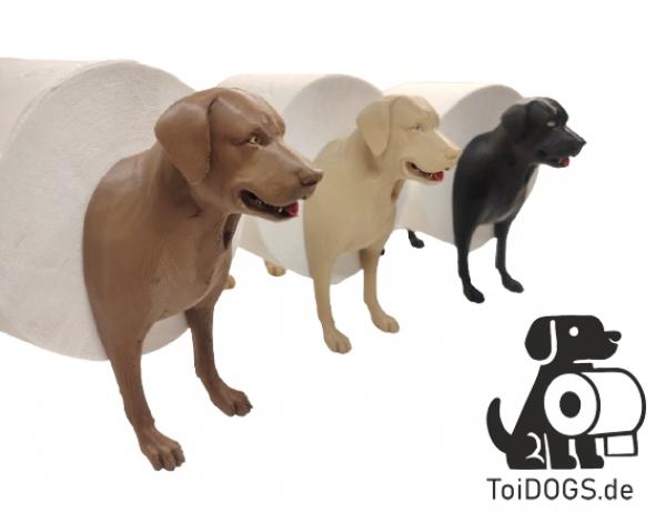 ToiDog Labrador